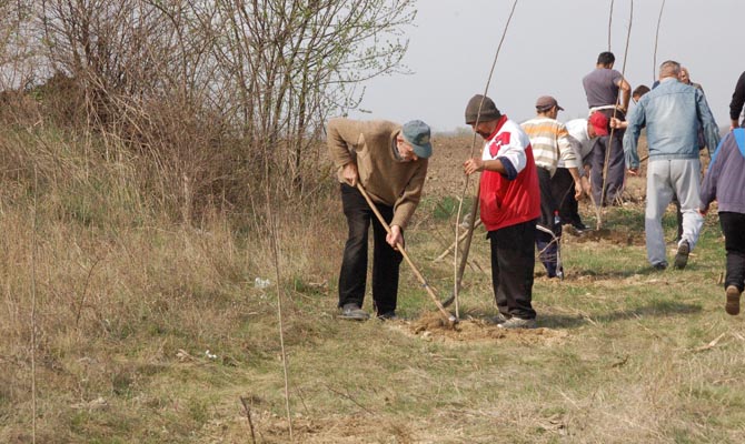 Fasítás 2017. március